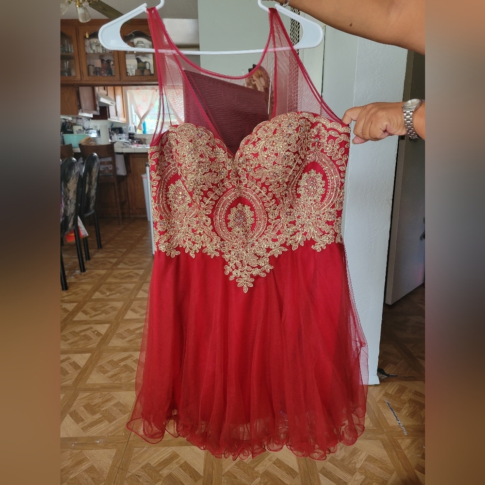 Women Fancy dress